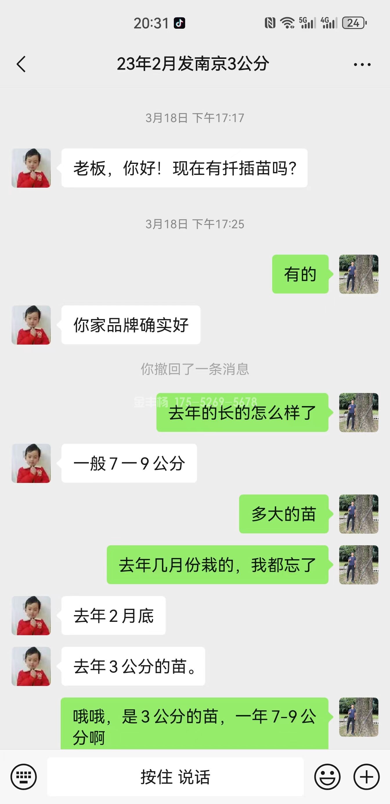 南京客户购买金丰杨当年米经10公分粗