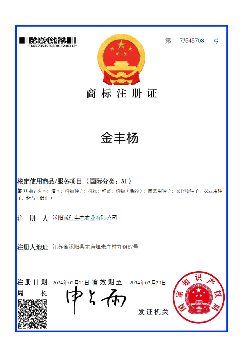 金丰杨商标注册证