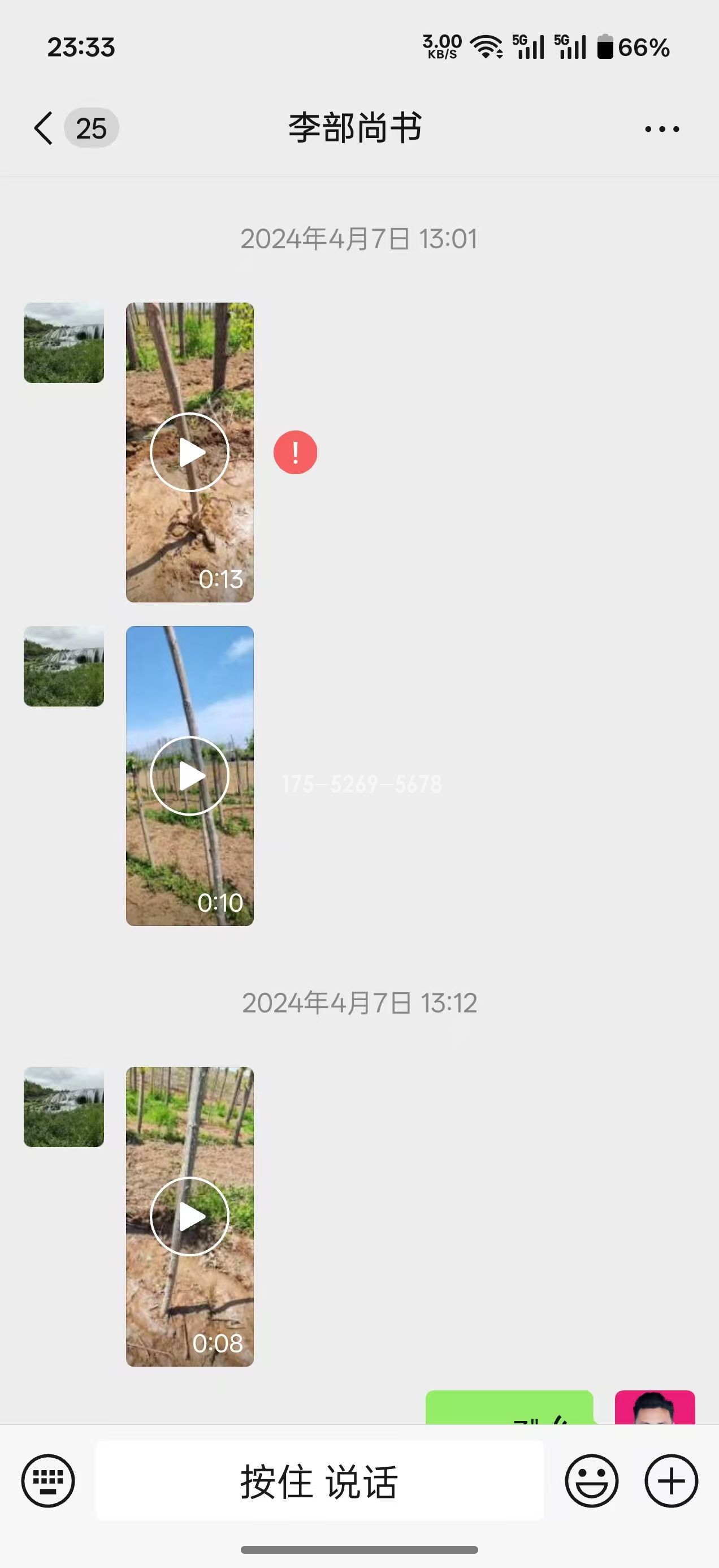 河南许昌李总当年11-12公分粗(图1)