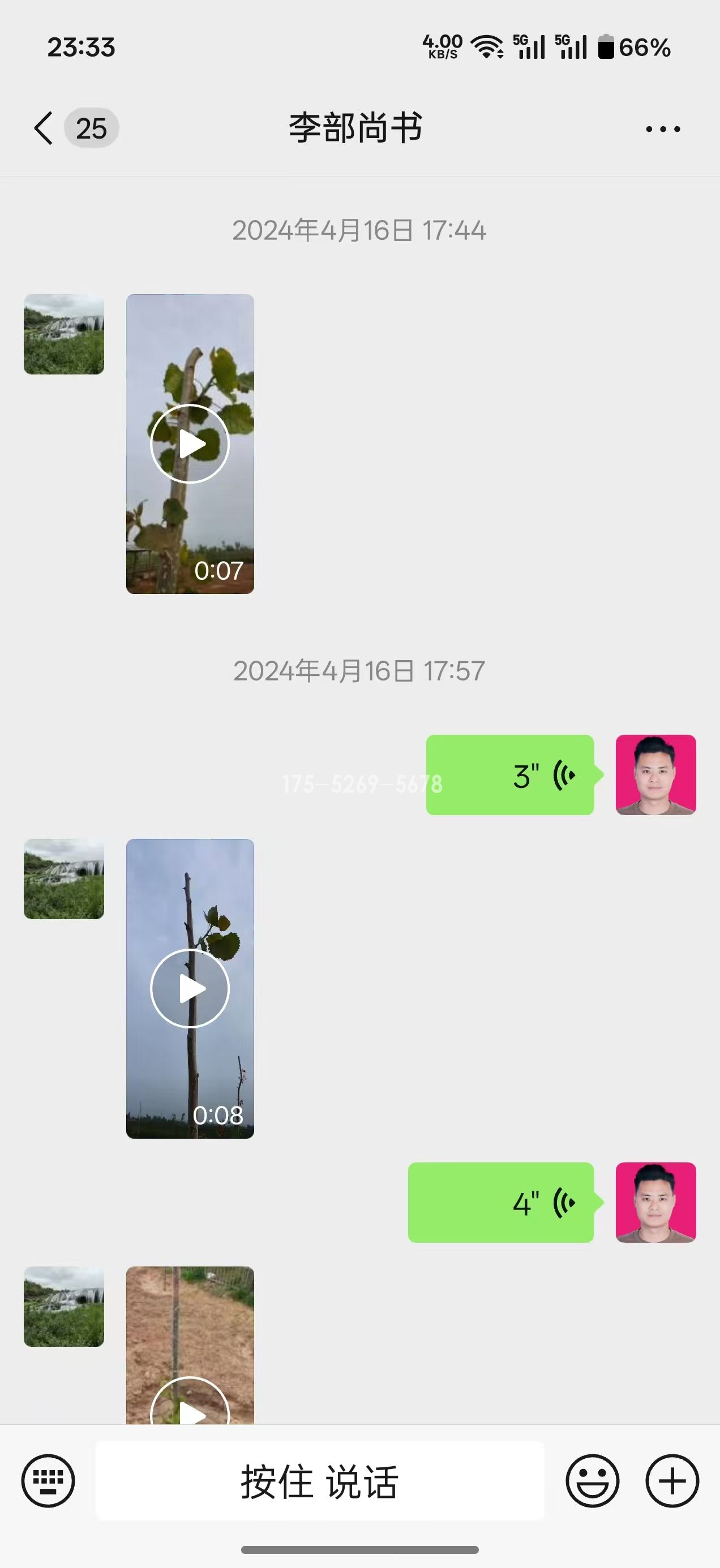 河南许昌李总当年11-12公分粗(图2)