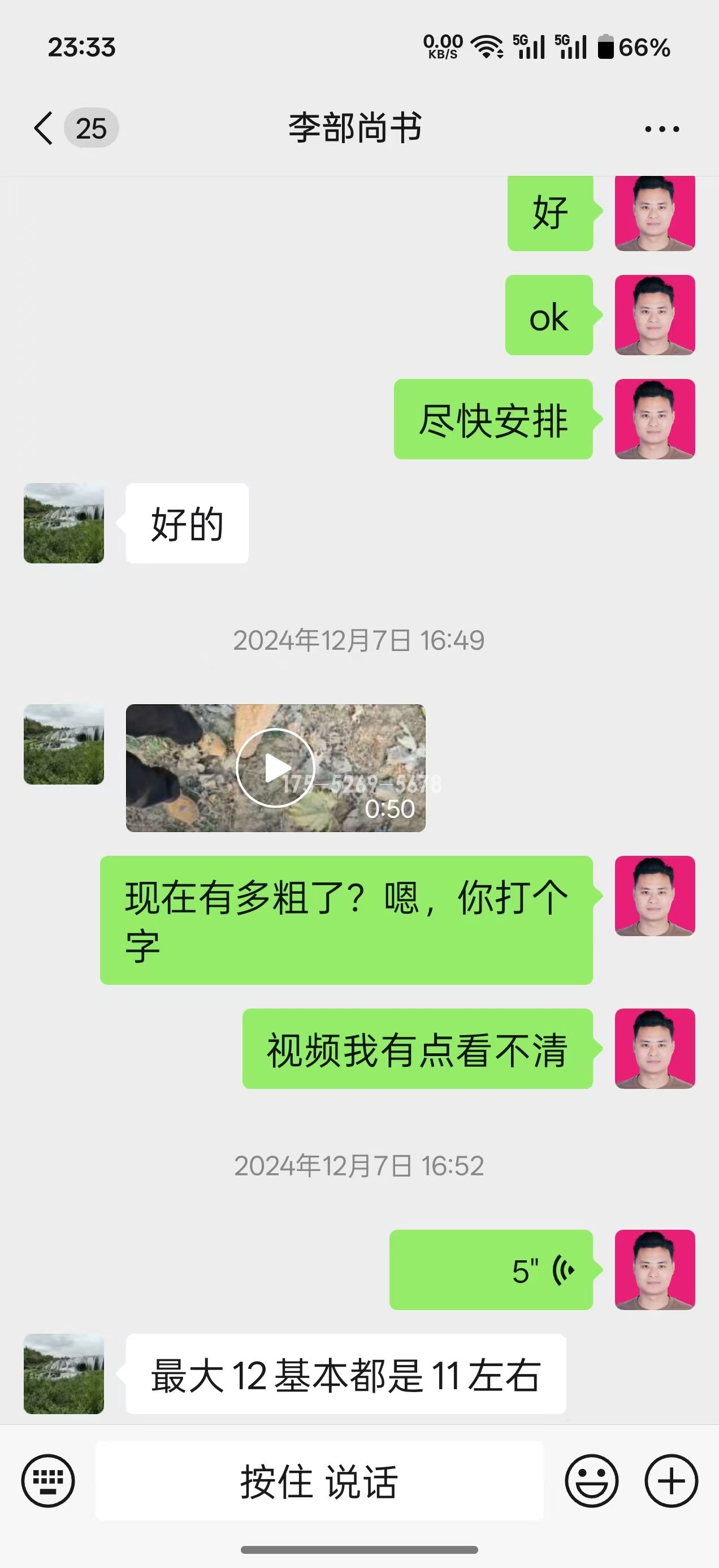 河南许昌李总当年11-12公分粗(图4)