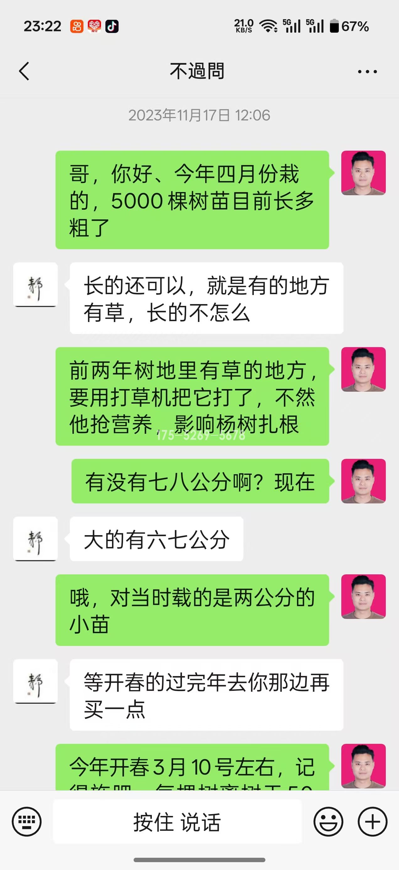 淮安涟水两年半米径25公分粗(图1) 淮安涟水两年半米径25公分粗(图1)