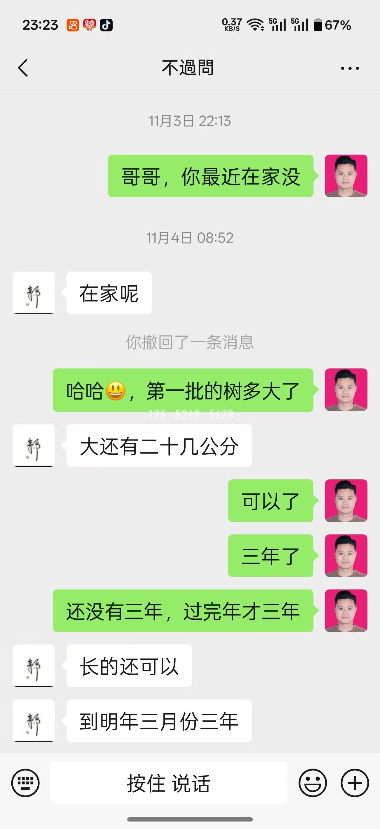 淮安涟水两年半米径25公分粗(图3) 淮安涟水两年半米径25公分粗(图3)