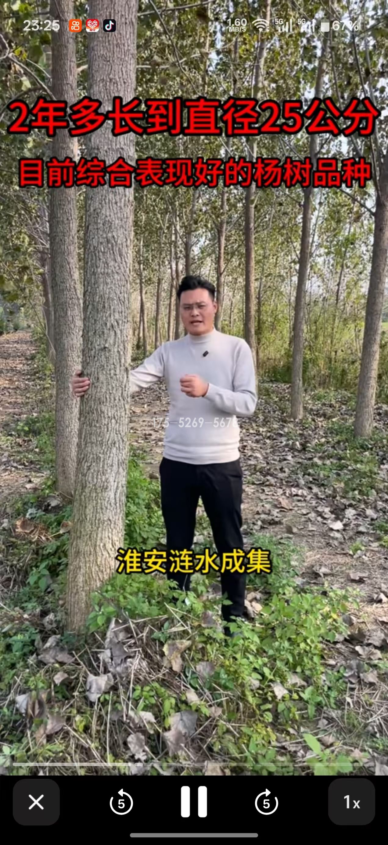 淮安涟水两年半米径25公分粗(图4) 淮安涟水两年半米径25公分粗(图4)