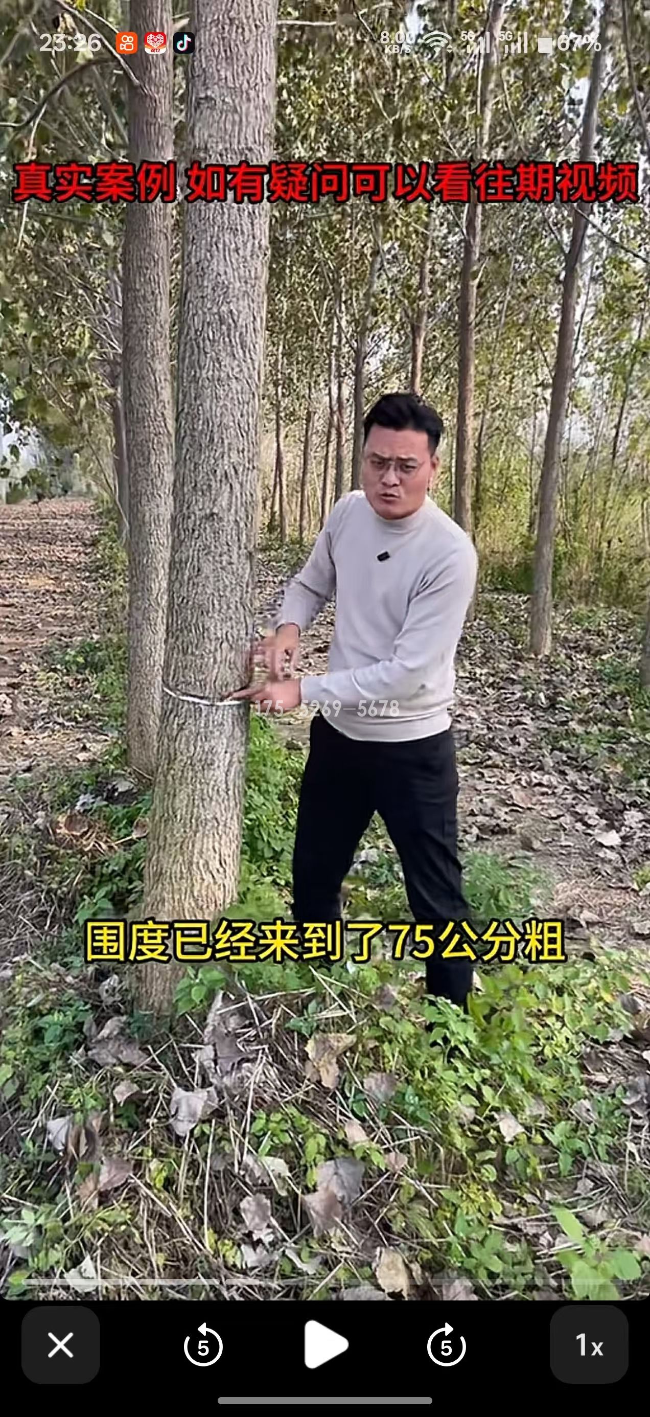 淮安涟水两年半米径25公分粗(图5) 淮安涟水两年半米径25公分粗(图5)