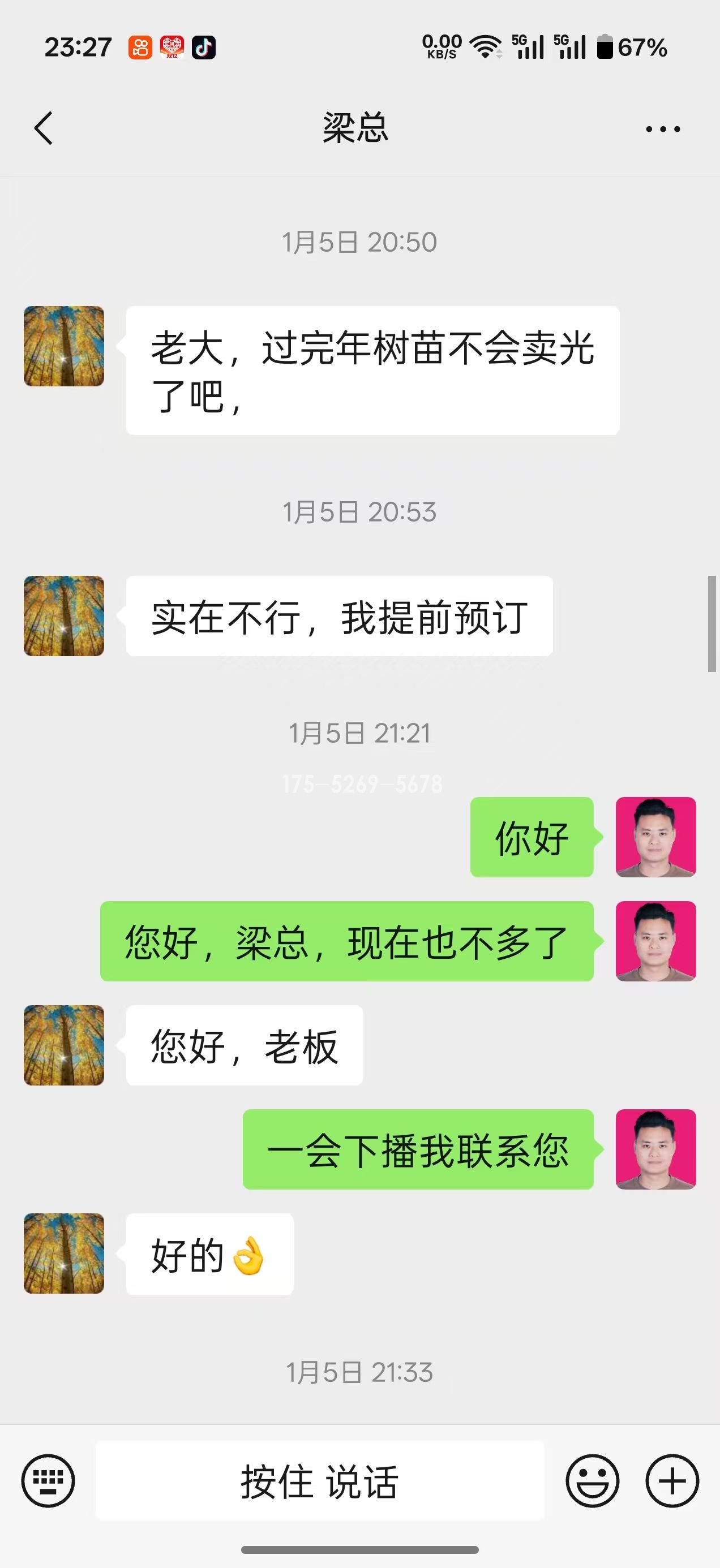 山东潍坊梁总当年长到9公分粗(图1) 山东潍坊梁总当年长到9公分粗(图1)