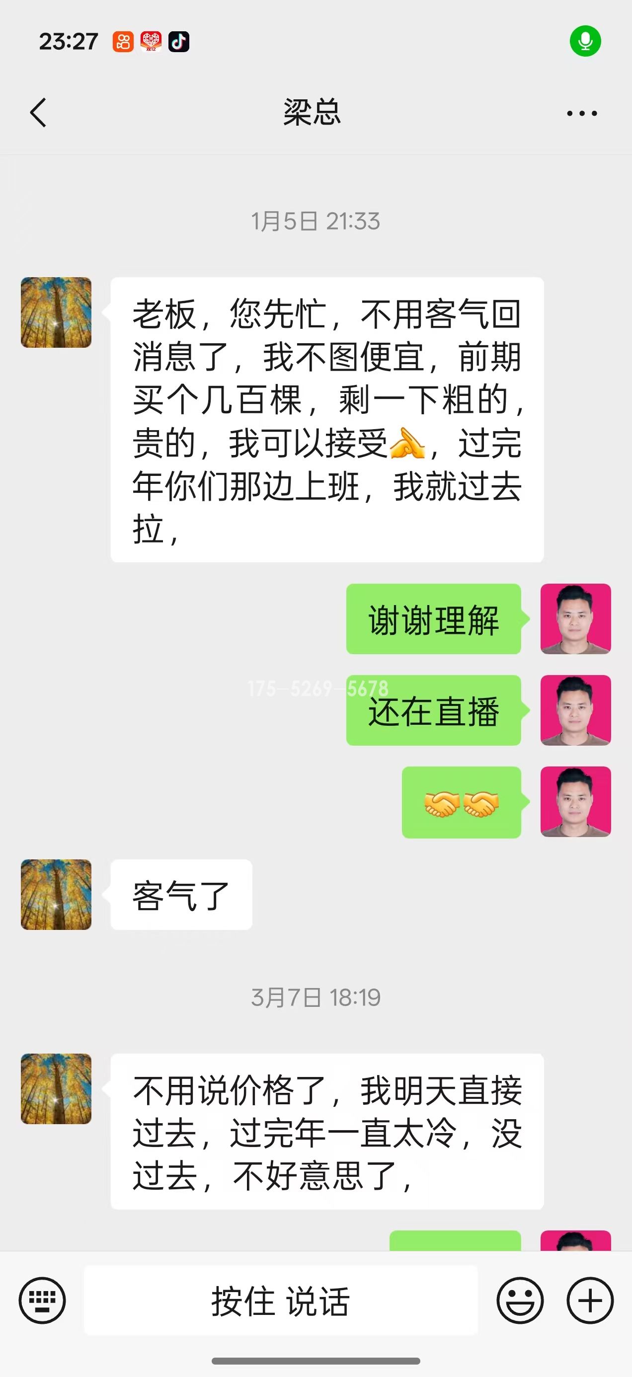 山东潍坊梁总当年长到9公分粗(图2) 山东潍坊梁总当年长到9公分粗(图2)