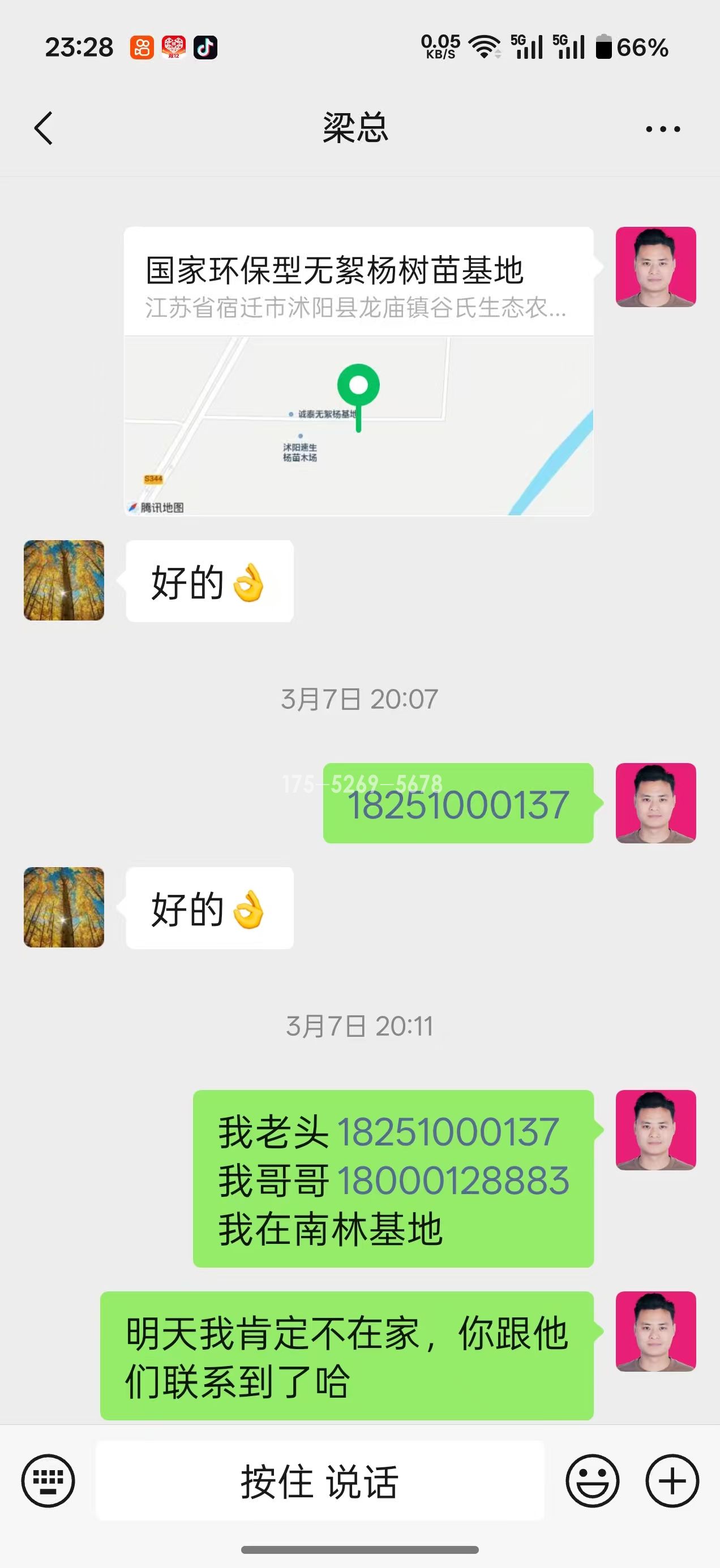 山东潍坊梁总当年长到9公分粗(图3) 山东潍坊梁总当年长到9公分粗(图3)