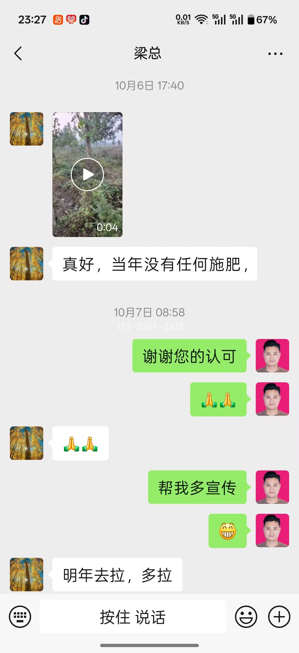 山东潍坊梁总当年长到9公分粗(图4) 山东潍坊梁总当年长到9公分粗(图4)