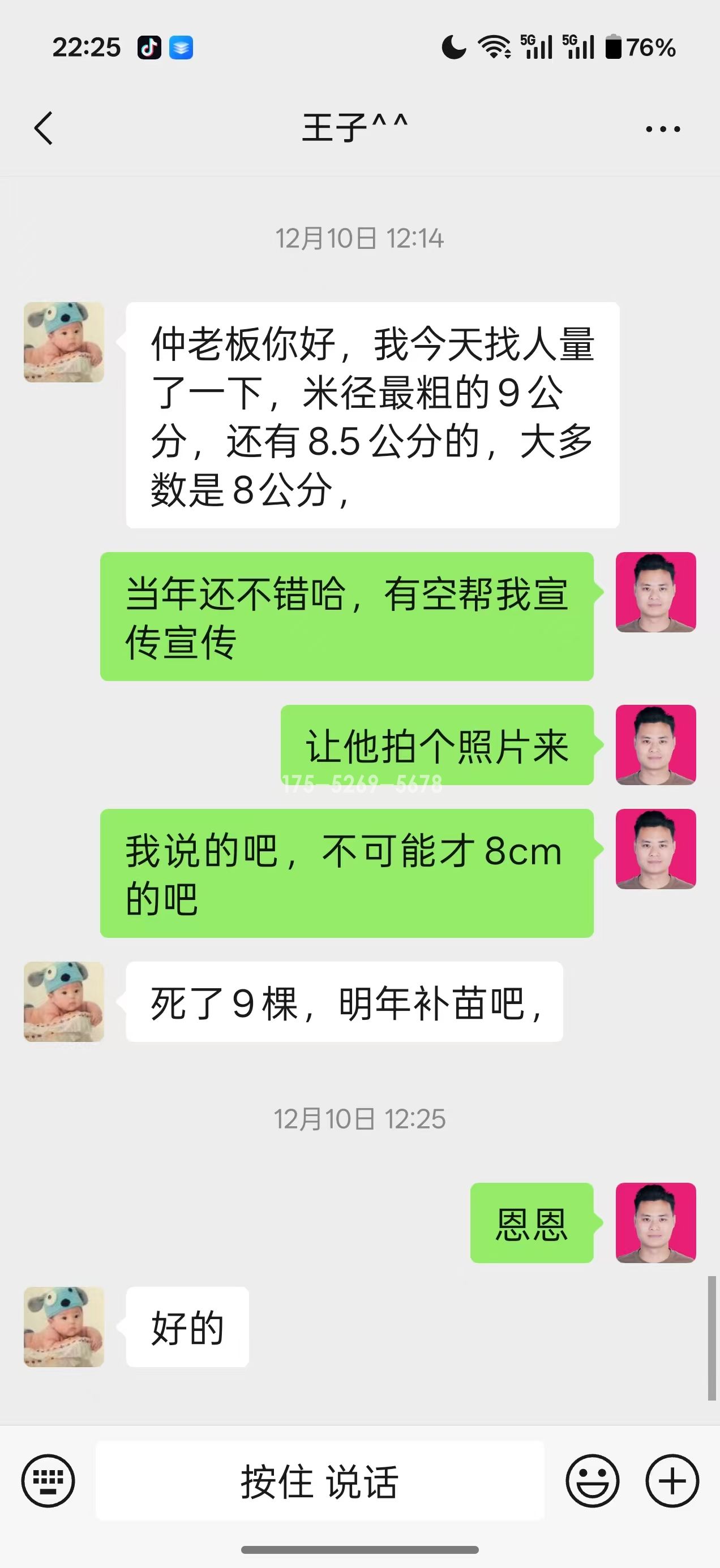 山东潍坊王子当年长到9公分粗(图3)