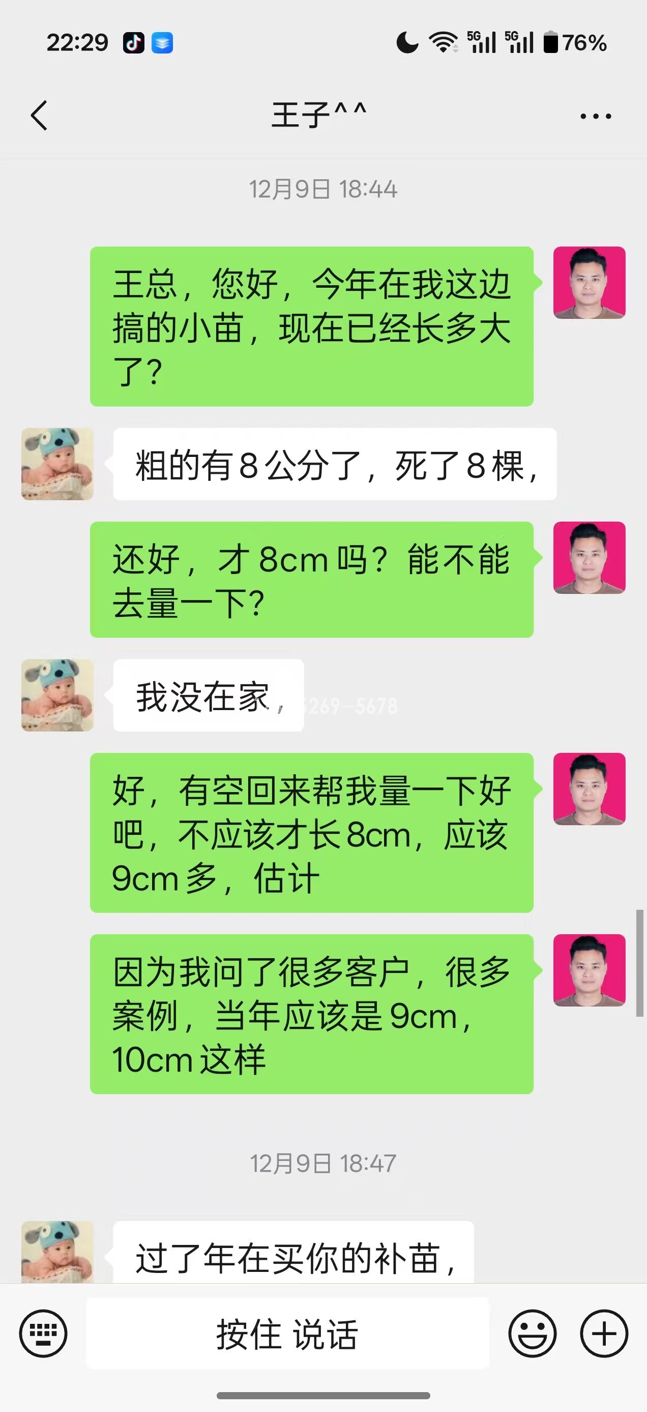 山东潍坊王子当年长到9公分粗(图2)