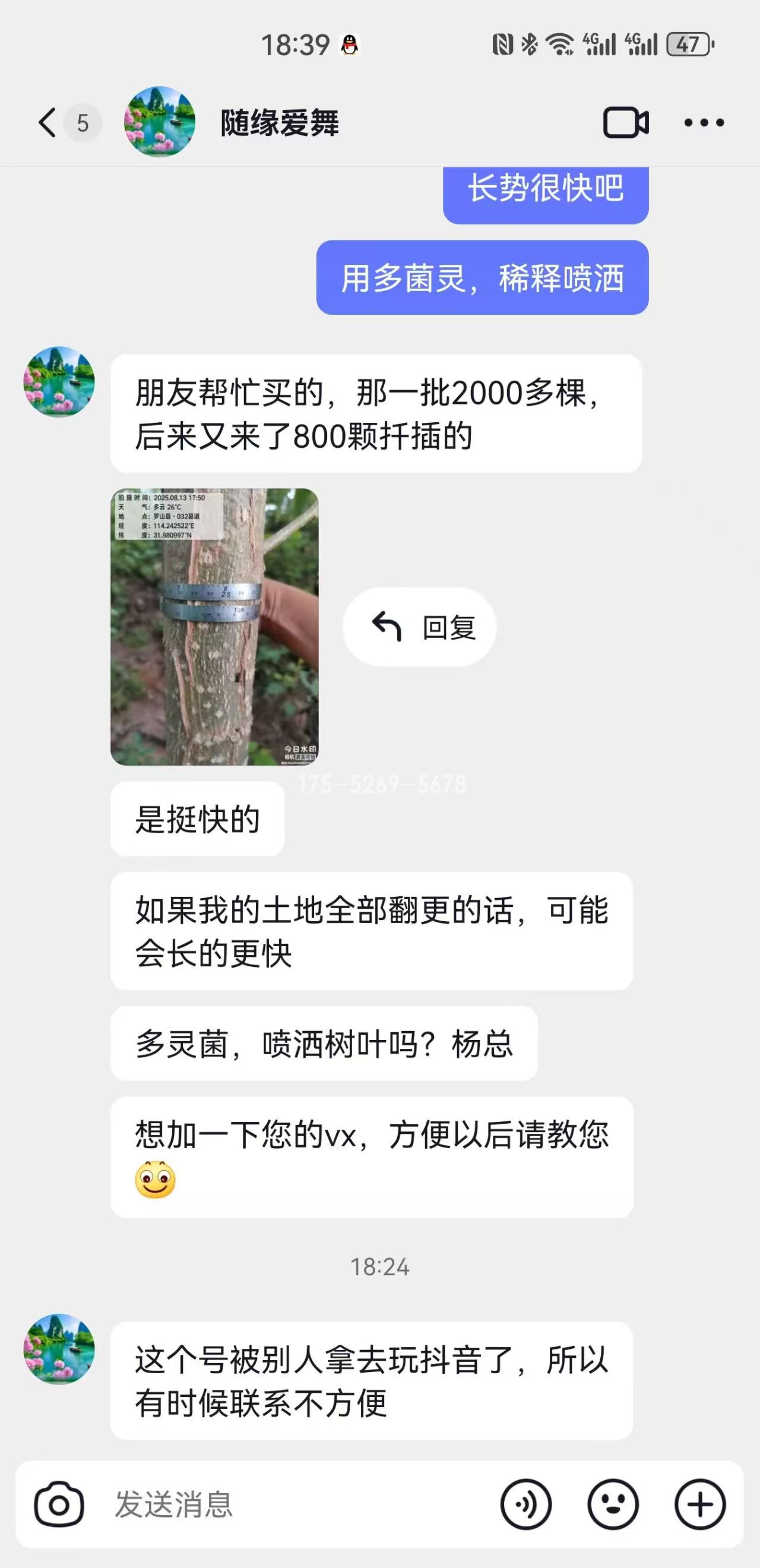 河南客户反馈当年8公分粗(图2)