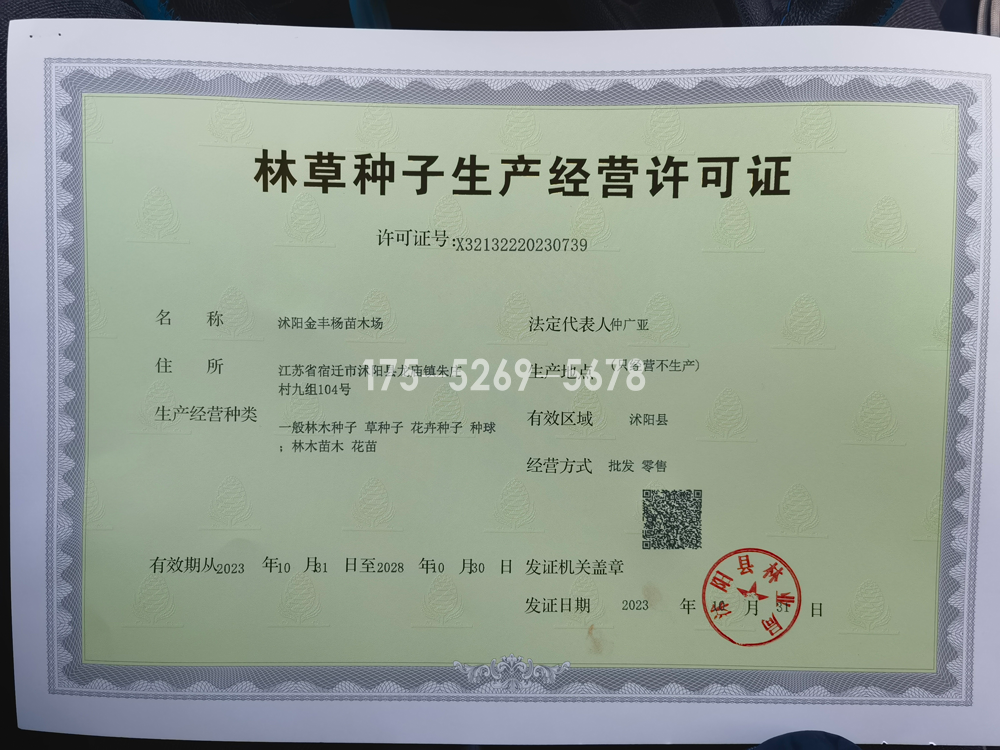 金丰杨林木种子经营许可证(图1)