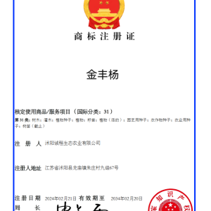 金丰杨商标证书