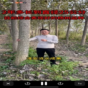 淮安涟水两年半米径25公分粗